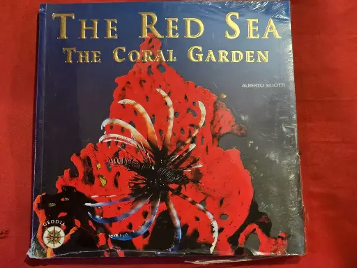 The Red Sea - The Coral Garden, Geodia